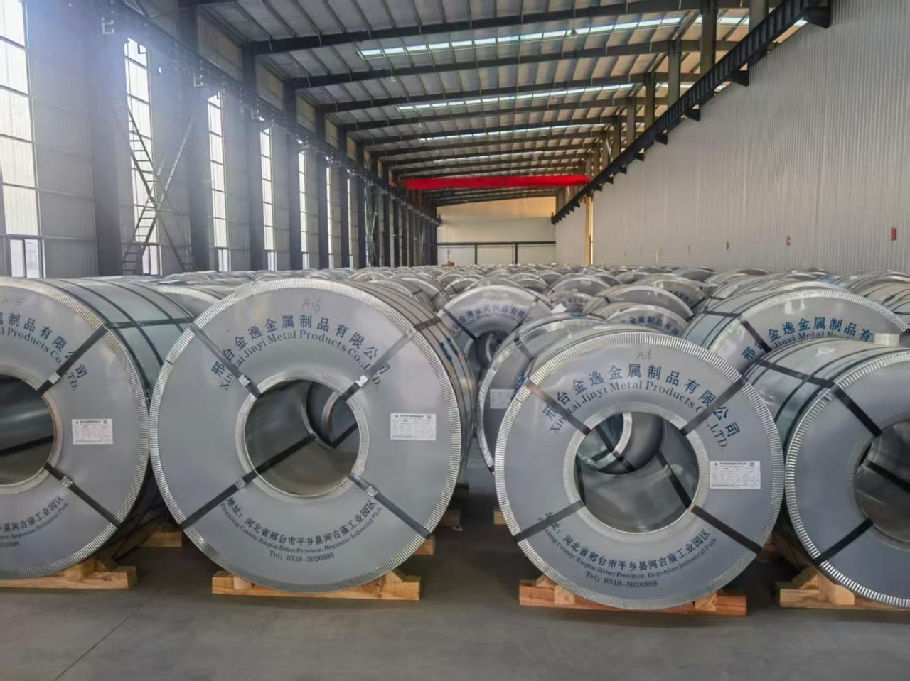 Tin free steel coil